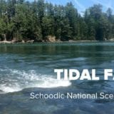 tidal-falls-preserve-maine
