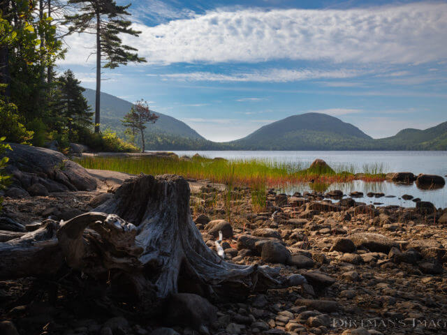 Eagle Lake Carriage Roads – Acadia National Park