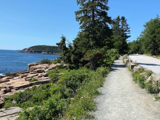 Ocean Path – Acadia National Park