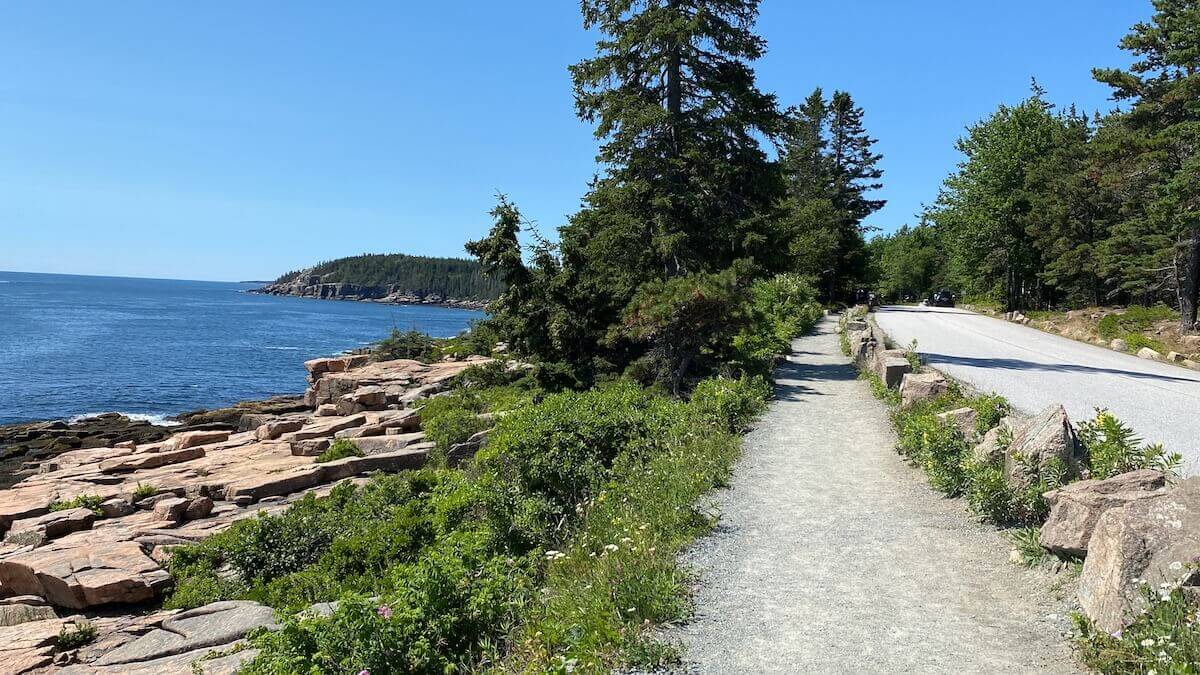 Ocean Path – Acadia National Park