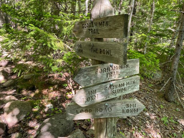 Gorham Mountain Trail - Acadia National Park