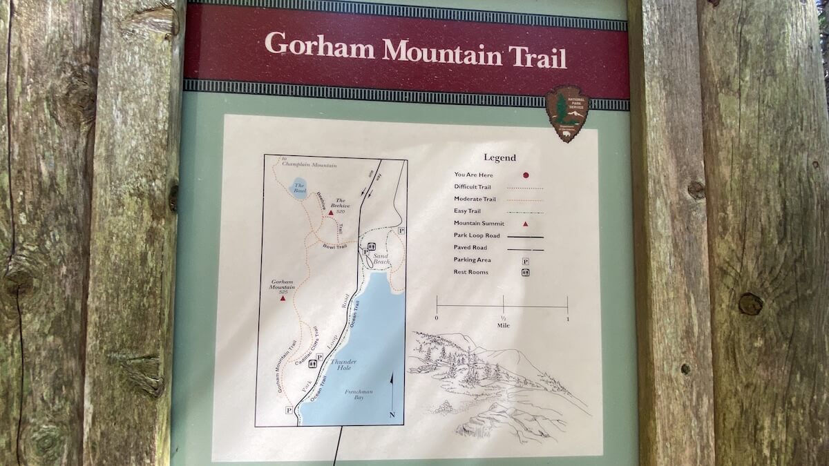 Gorham Mountain Trail - Acadia National Park