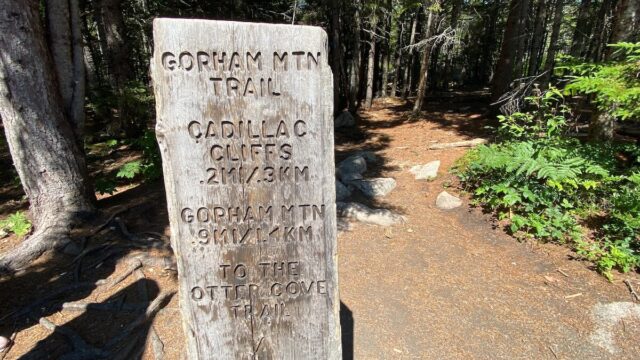 Gorham Mountain Trail - Acadia National Park