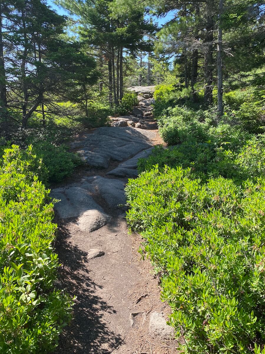 Gorham Mountain Trail - Acadia National Park