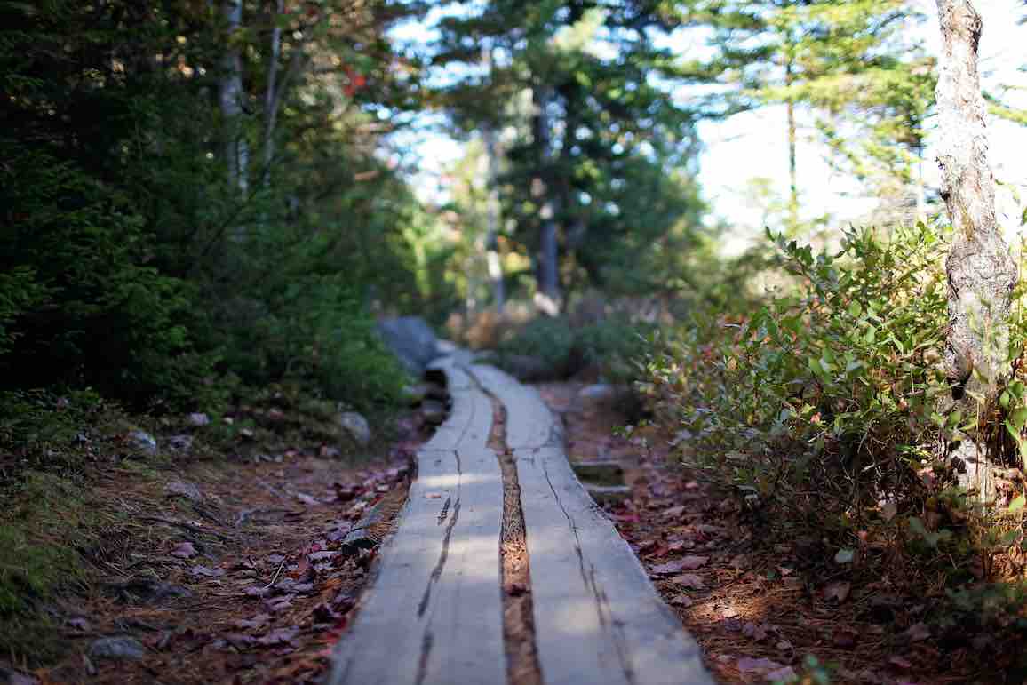 Median Ridge Trail