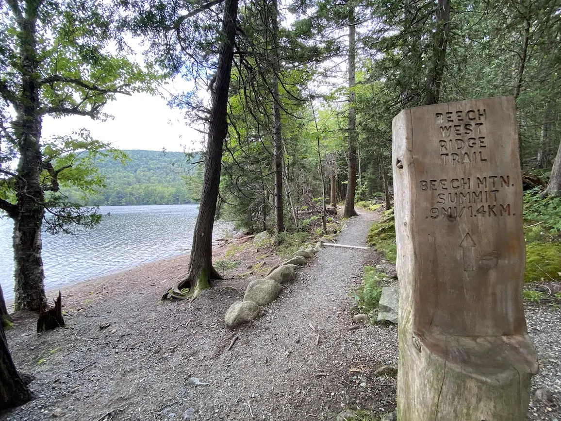 beech-west-ridge-trail-1.jpg