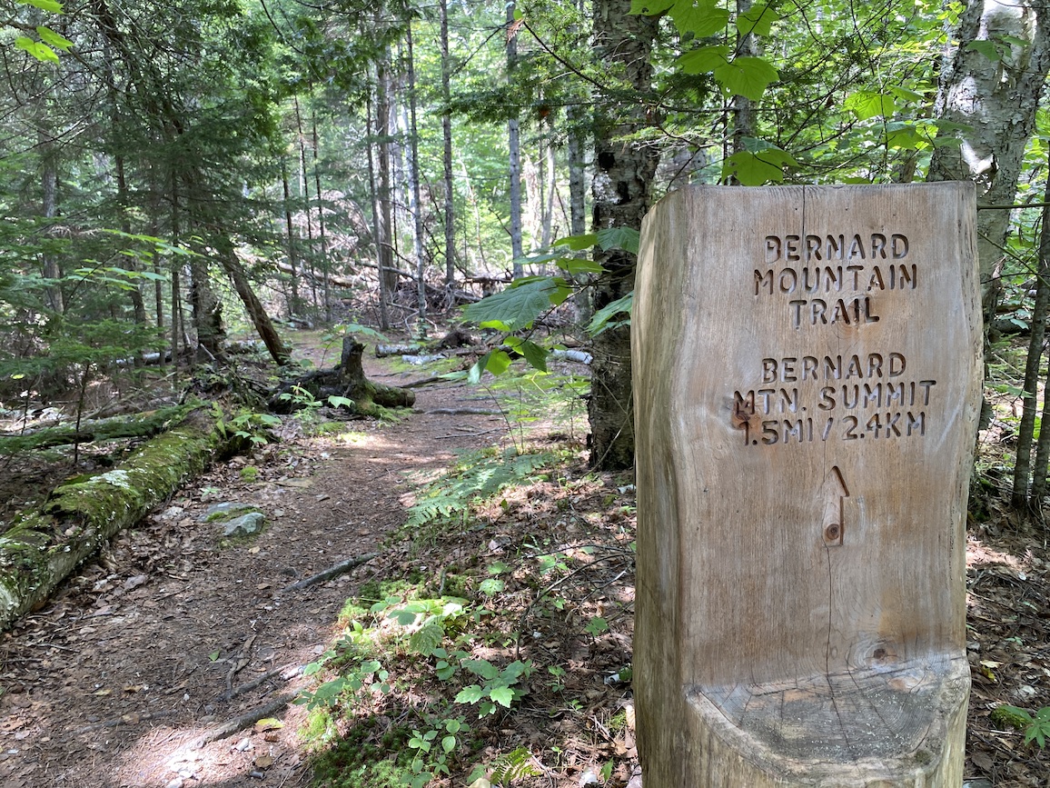 Bernard Mountain Trail