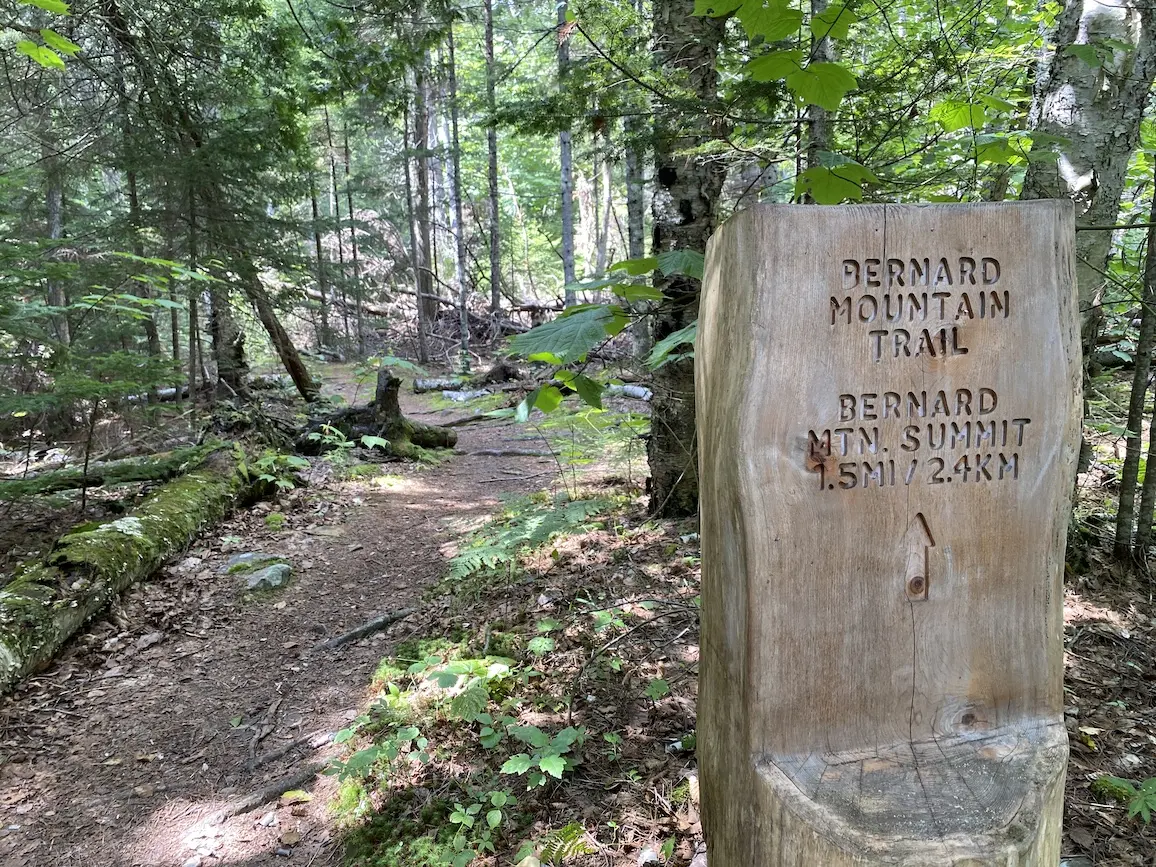 bernard-mtn-trail-1.jpg