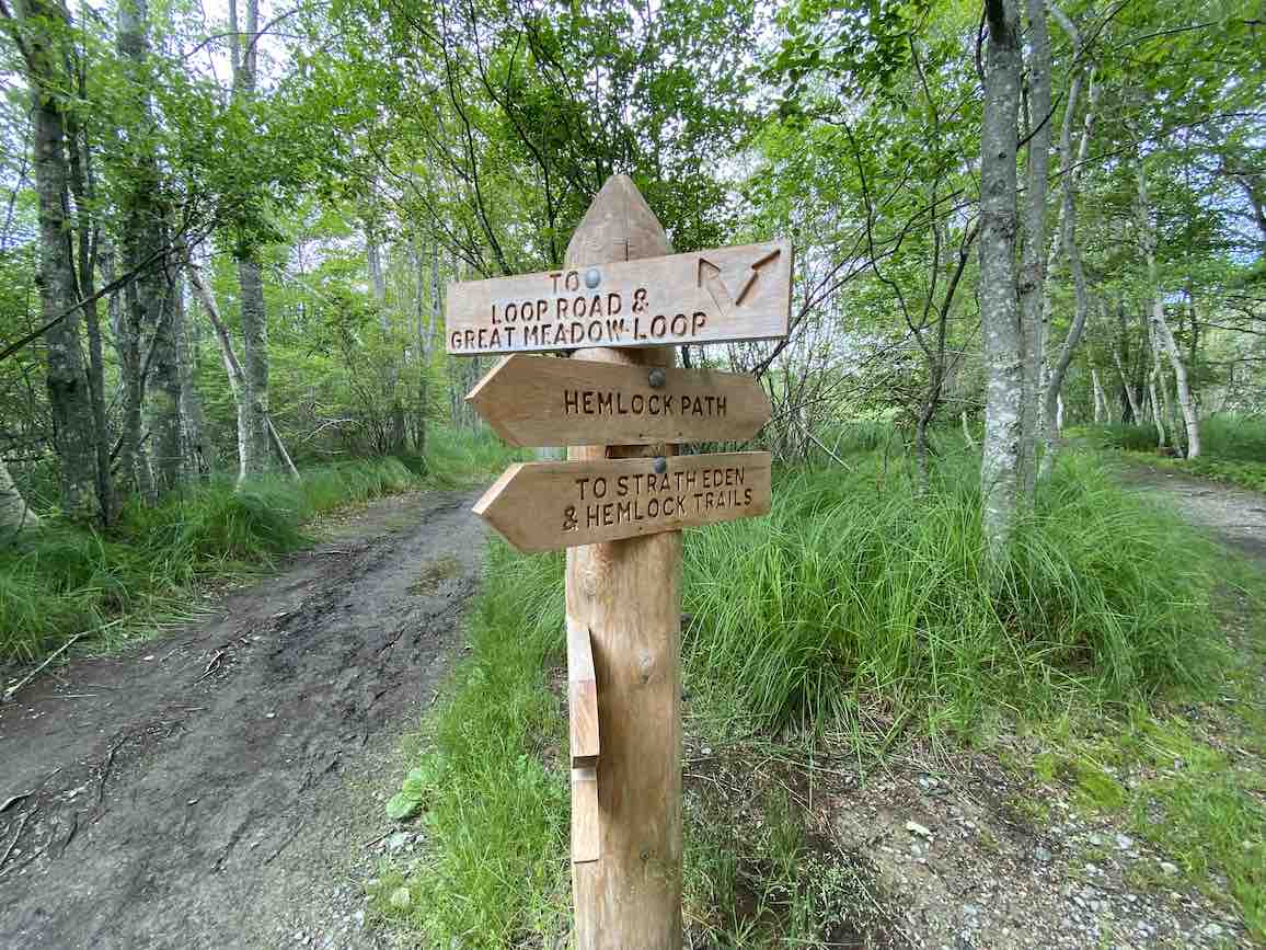 Hemlock Path/Trail