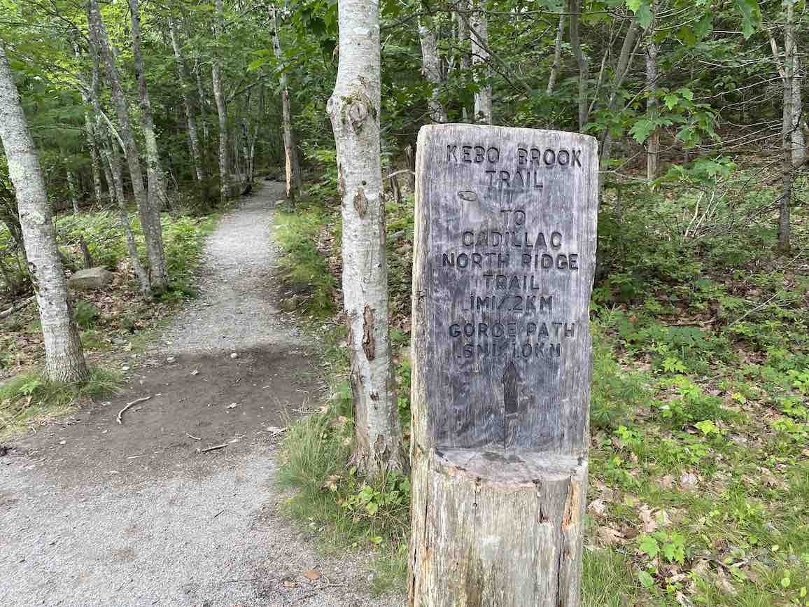 Kebo Brook Trail